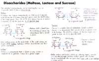 06 Disaccharides (Maltose, Lactose And Sucrose)