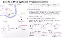 07 Defects İn Urea Cycle And Hyperammonemia