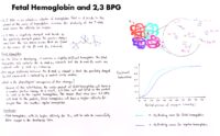 07 Fetal Hemoglobin And 2,3 Bpg