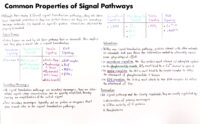 08 Common Properties Of Signal Pathways