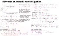 08 Derivation Of Michaelis Menten Equation