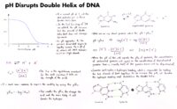 09 Ph Disrupts Double Helix Of Dn