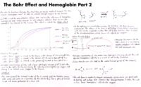 09 The Bohr Effect And Hemoglobin Part 2
