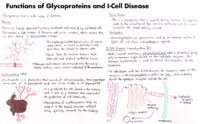 10 Functions Of Glycoproteins And I Cell Disease