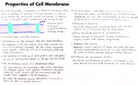 12 Properties Of Cell Membrane