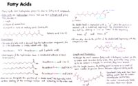 13 Fatty Acids