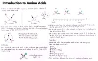 13 Introduction To Amino Acids