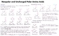 14 Nonpolar And Uncharged Polar Amino Acids