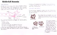 14 Sickle Cell Anemia