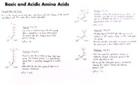 15 Basic And Acidic Amino Acids