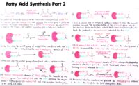 15 Fatty Acid Synthesis Part 2