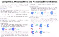 16 Competitive, Uncompetitive And Noncompetitive Inhibition