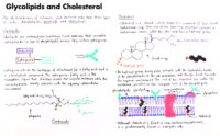 16 Glycolipids And Cholesterol