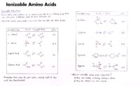 16 Ionizable Amino Acids