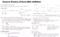 18 Enzyme Kinetics Of Reversible Inhibition