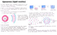 18 Liposomes (Lipid Vesicles)