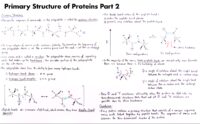 19 Primary Structure Of Proteins Part 2