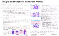 20 Integral And Peripheral Membrane Proteins