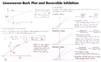 20 Lineweaver Burk Plot And Reversible Inhibition