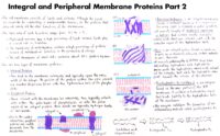 21 Integral And Peripheral Membrane Proteins Part 2