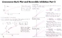 21 Lineweaver Burk Plot And Reversible Inhibition Part 2