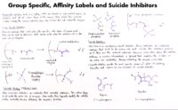 22 Group Specific, Affinity Labels And Suicide Inhibitors