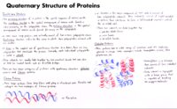22 Quaternary Structure Of Proteins