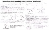 23 Transition State Analogs And Catalytic Antibodies