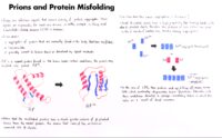 24 Prions And Protein Misfolding