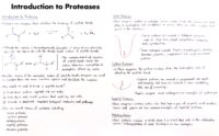 26 Introduction To Proteases