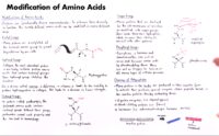 26 Modification Of Amino Acids