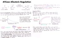 34 Atcase Allosteric Regulation