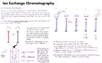 34 Ion Exchange Chromatography