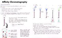 35 Affinity Chromatography