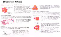 35 Structure Of Atcase