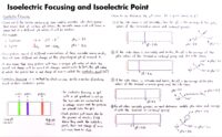 36 Isoelectric Focusing And Isoelectric Point