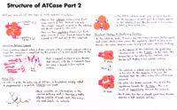 36 Structure Of Atcase Part 2