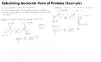 38 Calculating Isoelectric Point Of Proteins (Example)