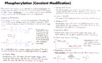 38 Phosphorylation (Covalent Modification)