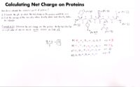 39 Calculating Net Charge On Proteins