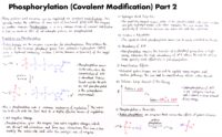 39 Phosphorylation (Covalent Modification) Part 2