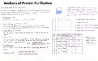 43 Analysis Of Protein Purification