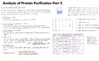 44 Analysis Of Protein Purification