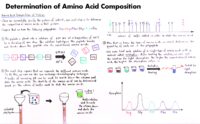 45 Determination Of Amino Acid Composition