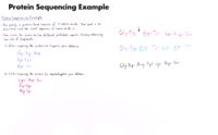 48 Protein Sequencing Example