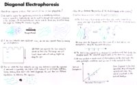 49 Diagonal Electrophoresis