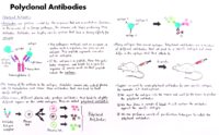 50 Polyclonal Antibodies