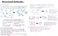 51 Monoclonal Antibodies