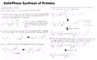 54 Solid Phase Synthesis Of Proteins