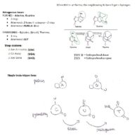 C⁄P (Chemistry) – Nitrogenous Bases